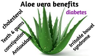 aloe vera benefitsacne burnscholesterol constipationdiabetesheartburnIBS symptoms Nutrition [upl. by Hurleigh]