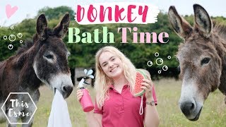 Donkeys Cant Take Bubble Baths  Kids Book Read Aloud [upl. by Eenhat]