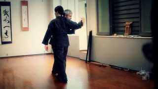 Bujinkan Buyukai 武神館武友会  Shihan Cinzia Dolcini 140413 [upl. by Einneb]