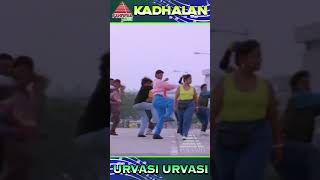 Urvasi Urvasi Video Song  Kadhalan Movie Songs  Prabhu Deva  Vadivelu  ARR  ytshorts [upl. by Ailehc]