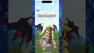 Epic Ultra League Showdown Aurora Giratina amp Chesnaught GoBattleLeague PokémonGo [upl. by Gowon]