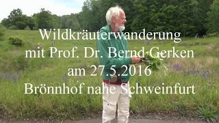 Wildkräuterwanderung mit Prof Dr Bernd Gerken am Brönnhof [upl. by Strong]