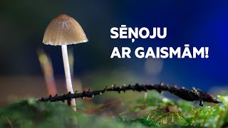 SĒŅOJU AR GAISMĀM [upl. by Milewski]