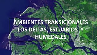 Ambientes transicionales quotLos deltas estuarios y humedalesquot [upl. by Madox]