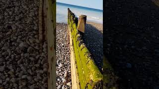 quotlongshore driftquot barrier example near Cromer pier Norfolk UK wild nature countryside outdoors [upl. by Hanleigh841]