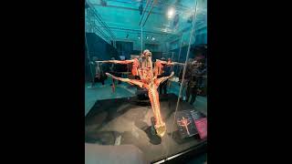 The Body Worlds [upl. by Sad]