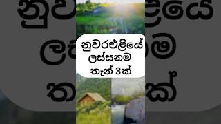 හොඳම place එක comment කරමු friends😇 srilanka nuwaraeliya shorts subscribe [upl. by Rayna]