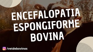 Encefalopatia Espongiforme Bovina 043 [upl. by Pul]