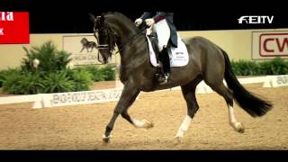 FEI World Cup™ Finals 2015 Las Vegas  Wheres Elvis [upl. by Felix]