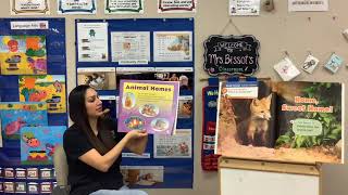 Wonders Literature Big Book Paired Read U7w3 “Animal Homes” [upl. by Terti170]