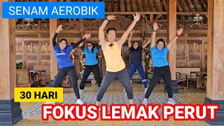 AEROBIK FOKUS LEMAK PERUT  30 HARI PENURUNAN BERAT BADAN [upl. by Enner]