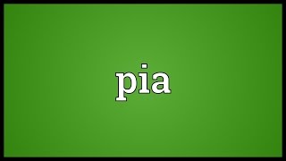 Pia Meaning [upl. by Amory]