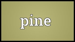 Pine Meaning [upl. by Nipahc]