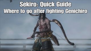 Sekiro Where to go after Genichiro [upl. by Lux]