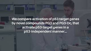 ISR Activation amp Apoptosis via HRI Kinase by PG3 and Other p53 Cancer Therapies  Oncotarget [upl. by Savadove]