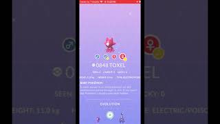 Brand new toxel pokemon pokemongo pokemonlife shinypokemon brandnewshiny [upl. by Sadye]