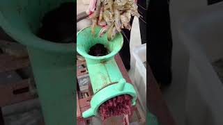 MEAT SEAFOOD GRINDER MACHINE AMAZING SKILLS viral viralvideo shorts [upl. by Mallin683]