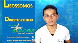 Lisossomos  Digestão Celular Prof Jonatas Fontinele [upl. by Ezequiel]