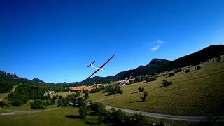 Reichard Model Proxima II glider [upl. by Compte]