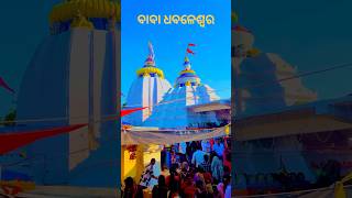 କଳା ବଳଦ କୁ ଧଳା କରିଦେଲେ Baba Dhabaleswar mahadevmahakalshivshortsyoutubeshorts [upl. by Zetnod]