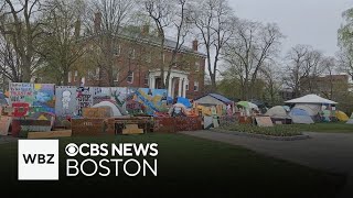 Tensions rise at Tufts as proPalestinian protesters refuse to leave before graduation [upl. by Eirolav]