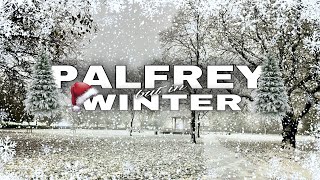 PALFREY BUT IN WINTER [upl. by Atnoid]