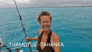 Solo sailing to the atol Tahanea in the Tuamotus part of French Polynesia  Ep 194 [upl. by Biddick824]