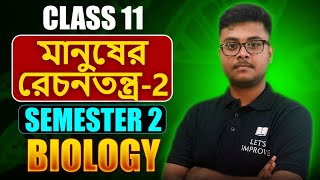 Human Excretory System Class 11 Biology in Bengali  Semester 2  Part2  Let’s Improve [upl. by Nileak647]