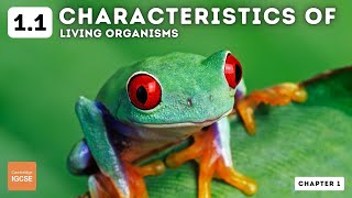 IGCSE Biology  Characteristics of Living Organisms 11 [upl. by Ibrek442]