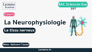 BAC  SVT  La Neurophysiologie  Le tissu nerveux [upl. by Orabel480]