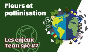 Fleurs et pollinisation SVT  ENJEUX Term spé 7  Mathrix [upl. by Row624]