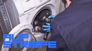 Wer hat die Katze in die Waschmaschine getan Paul Richter ermittelt  Auf Streife  SAT1 TV [upl. by Lenoel761]