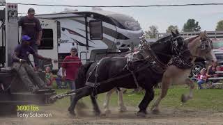 WoodhullNY 2019 Lightweight Horse Pull [upl. by Eleph177]