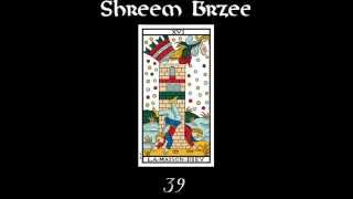 Shreem Brzee amp Maison Diev [upl. by Aroz447]