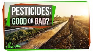 How Safe Are Pesticides Really [upl. by Anert]