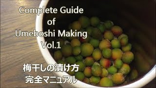 How to make Umeboshi  Step by Step Complete Guide 【1of 3】Holistic Life in California 英語版梅干しの作り方 [upl. by Libre]