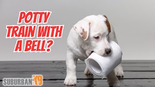 How to Potty Train a Puppy with Bells PLUS Why We HATE It [upl. by Nobie182]