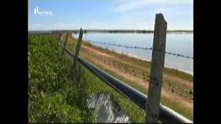 Descargas de esgotos ameaçam a vida selvagem na Ria Formosa [upl. by Longfellow949]