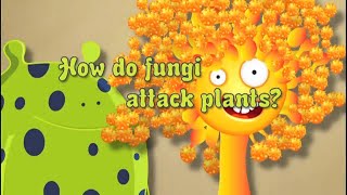 Fungicide No 2 How Do Fungi Attack Plants [upl. by Christis]