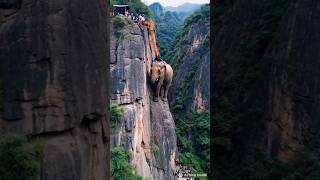 US police rescued an elephant stuck in a rocky mountain [upl. by Drescher472]