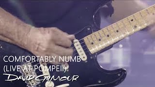 David Gilmour  Comfortably Numb Live At Pompeii [upl. by Meagher364]