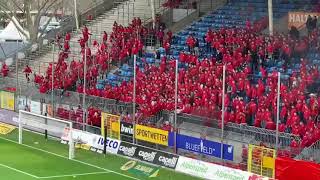 Waldhof vs Kaiserslautern  Bergaffen stürmen Spielfeld nach dem Spiel [upl. by Lyrret]