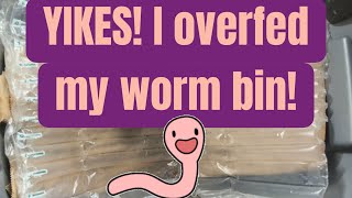 YIKES I overfed my worms [upl. by Carvey145]