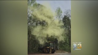 Man In Heavy Equipment Taps Tree Sends Massive Pollen Cloud Into Air [upl. by Etennaej]