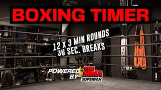 12 Round Boxing Timer 30 Sec Breaks  SAVE THIS [upl. by Cahra]