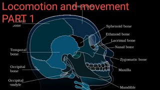 Locomotion and movement Class 11NCERTRead EnglishFor NEET [upl. by Avik]