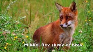 Mikkel Rev [upl. by Ahsiliw809]