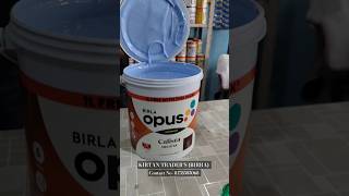 Birla Opus Paints Calista Neo Star Exterior Waterproof amp Dust proof birlaopus birla birlaopus [upl. by Idelle]