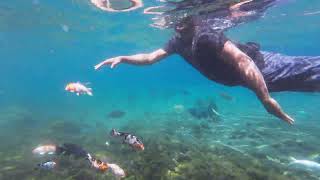 4K Swimming in Umbul Ponggok [upl. by Acenom]