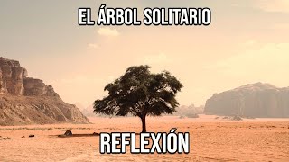 REFLEXIÓN EL ÁRBOL SOLITARIO Reflexiones Diarias Cortas de Vida del Alma Mejor Persona De Dios [upl. by Skipper863]